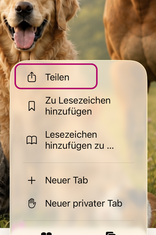 Safari-Menü mit Teilen